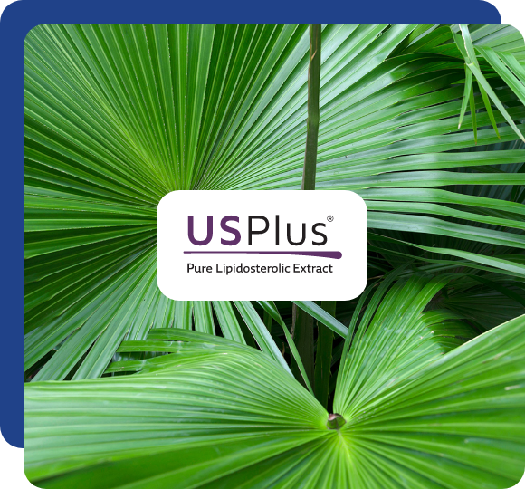 USPlus Prostan Plus